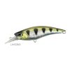LAA3365 Archer Fish II